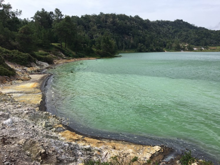 Indonesie 2018 -  Sulawesi - Lac Lanau Linow