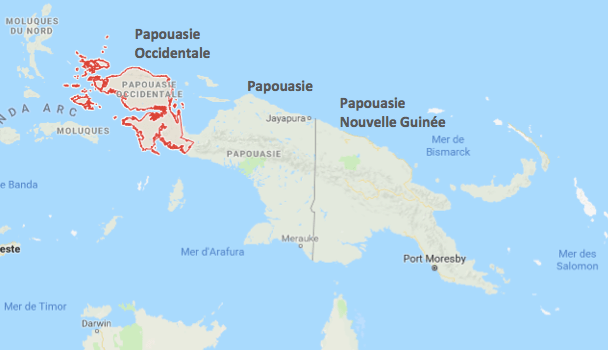 Carte Papouasie